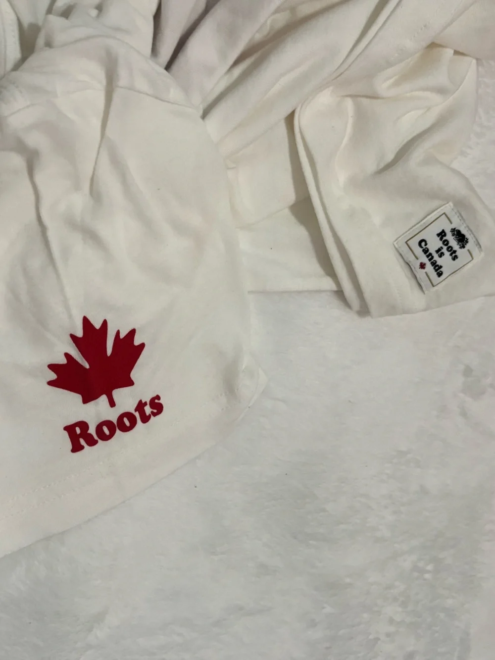 ROOTS IS CANADA Men’s Beaver Cotton Graphic Tee